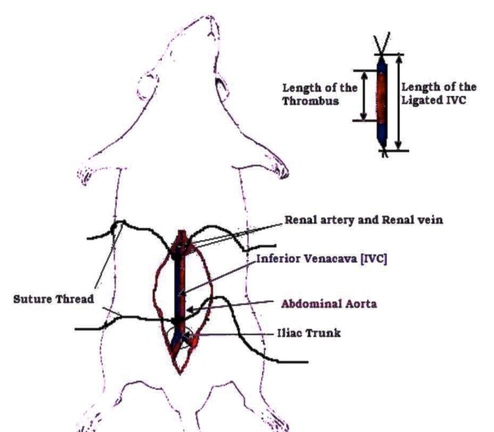 Oman Medical JournalArchive